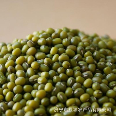 绿豆多种规格可供选择绿色种植家庭食用原料现磨豆浆现货图3