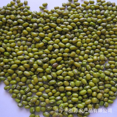 绿豆多种规格可供选择绿色种植家庭食用原料现磨豆浆现货图2