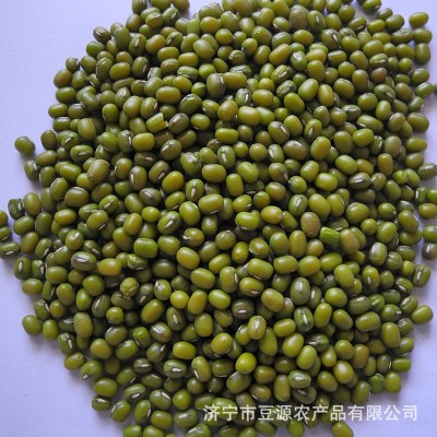 绿豆多种规格可供选择绿色种植家庭食用原料现磨豆浆现货图4