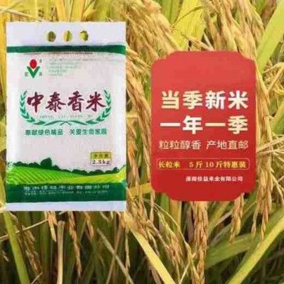 当季新米长粒大米5斤装10斤装真空包装口感香甜有嚼劲? 厂家直销图4