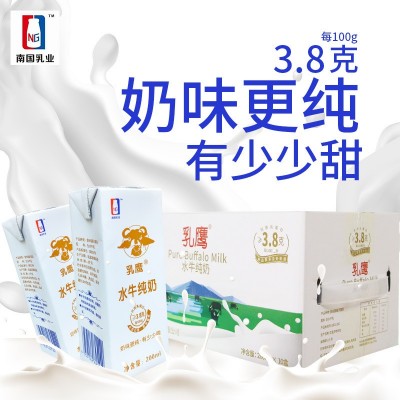 乳鹰水牛纯奶 200ml*10盒纯牛奶 整箱儿童孕妇学生成人早餐奶批发图1