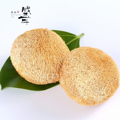 盛耳 猴头菇68g/罐 新货直达猴头蘑菇特产猴头菇干货品牌代工图4