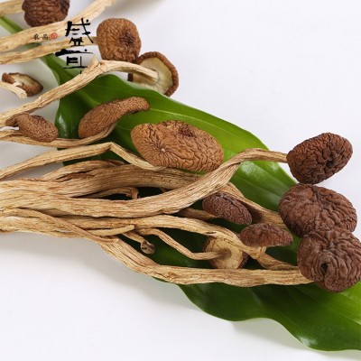 盛耳 茶树菇200g 茶薪菇干货不开伞特产蘑菇营养菌菇菌类食材新鲜图2