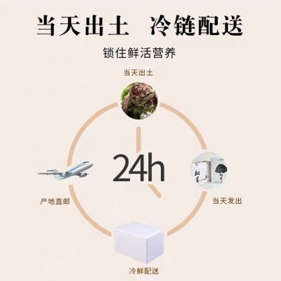 新鲜松茸一级不开伞香格里拉西藏雅江小金林芝云南野生菌四川500g图4