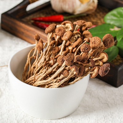 一件代发邑享古田茶树菇干货不开伞批发煲炖汤神器图2