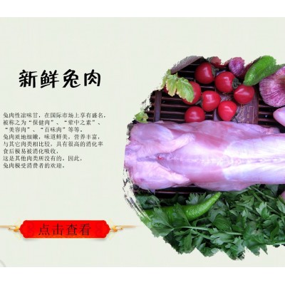 去头去内脏烤兔手撕兔肉食材兔肉2-2.5斤
