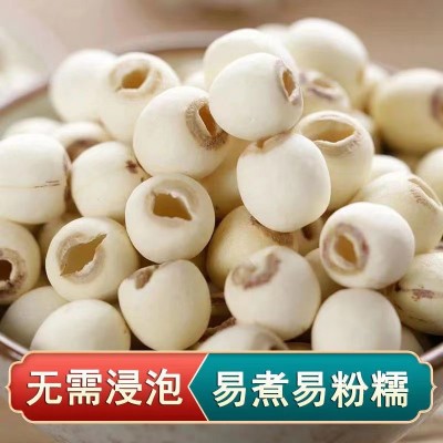 磨皮无芯白莲子干货500g新货小粒去芯磨皮白莲无硫湘潭湘莲子批发图3