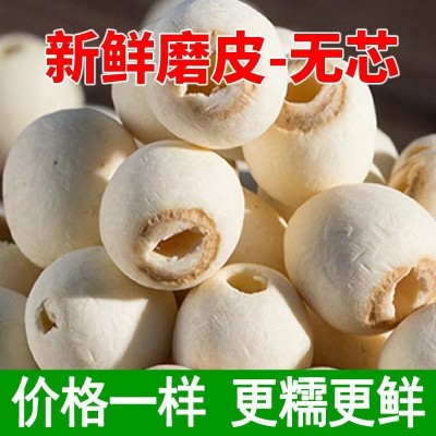 磨皮无芯白莲子干货500g新货小粒去芯磨皮白莲无硫湘潭湘莲子批发