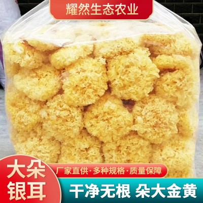 银耳干货批发散装500g食用菌白木耳糯耳碎银耳片古田雪耳银耳