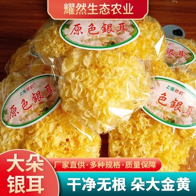 原色银耳厂家自销 古田特产干货银耳 食用菌干货银耳批发图2