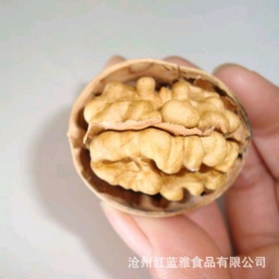 【代发】厂家新疆手剥薄皮核桃500g 散装坚果新疆核桃185薄皮核桃图2