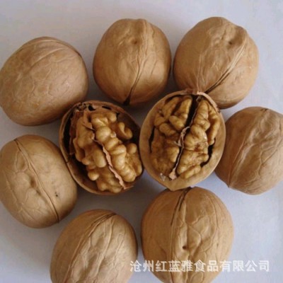 【代发】厂家新疆手剥薄皮核桃500g 散装坚果新疆核桃185薄皮核桃图4