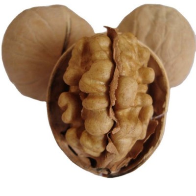 【代发】厂家新疆手剥薄皮核桃500g 散装坚果新疆核桃185薄皮核桃图5