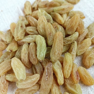 新货树上黄葡萄干新疆葡萄干500g吐鲁番葡萄干休闲零食代发批发图2