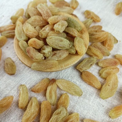新货树上黄葡萄干新疆葡萄干500g吐鲁番葡萄干休闲零食代发批发图4