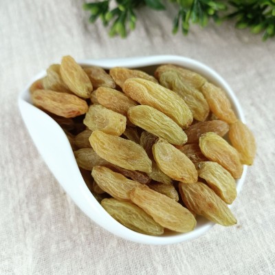 新货树上黄葡萄干新疆葡萄干500g吐鲁番葡萄干休闲零食代发批发图1
