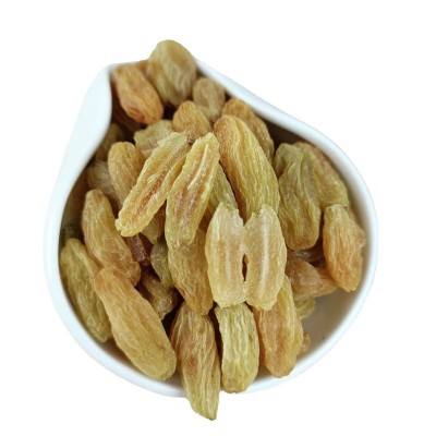新货树上黄葡萄干新疆葡萄干500g吐鲁番葡萄干休闲零食代发批发图5