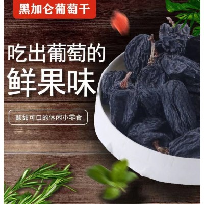 新货黑加仑葡萄干500g无籽 散装新疆吐鲁番大颗粒葡萄干批发代发