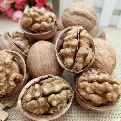 新疆特产手捏薄皮核桃果肉饱满原味原色185纸皮核桃批发代发