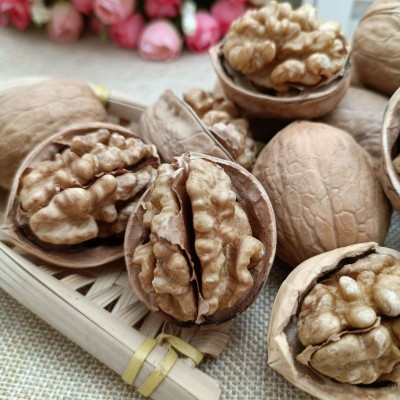 新疆特产手捏薄皮核桃果肉饱满原味原色185纸皮核桃批发代发图3