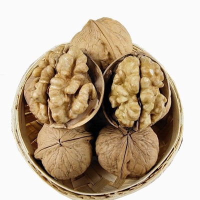 新疆特产手捏薄皮核桃果肉饱满原味原色185纸皮核桃批发代发图4