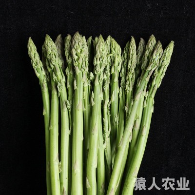 云南特产新鲜芦笋汁多甘甜脆嫩爽口鲜芦笋农家种植原产地直供图3