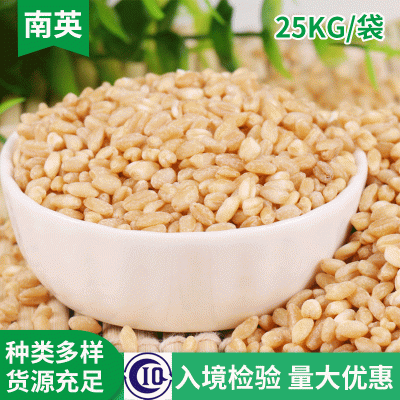 粮油作物小麦 脱皮小麦 农家自种小麦 粒大饱满小麦图1