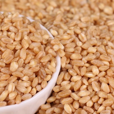 小麦批发 脱皮脱壳小麦 食品厂小麦粉八宝粥原料 五谷杂粮图2