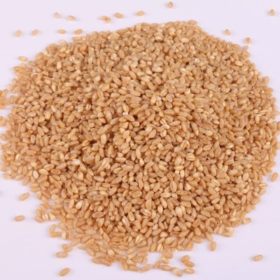 小麦批发 脱皮脱壳小麦 食品厂小麦粉八宝粥原料 五谷杂粮图3