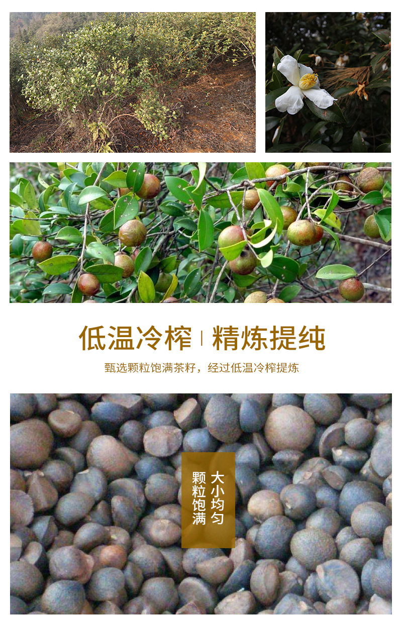1L-详情_06