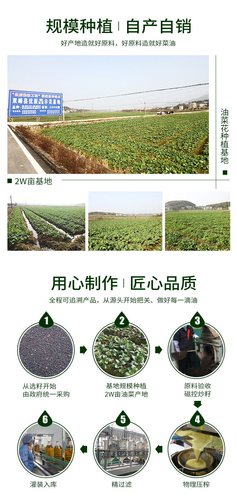 3级5l菜籽油-新详情_11