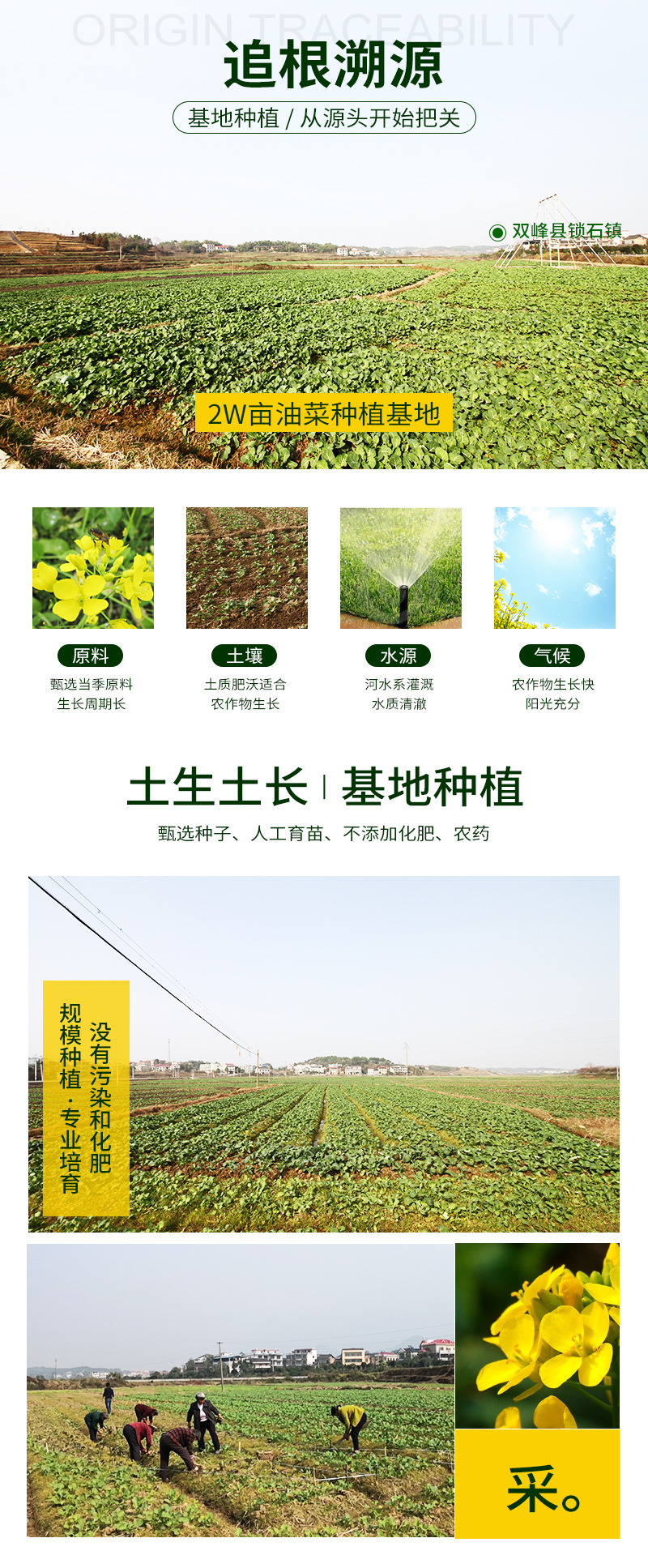 3级5l菜籽油-新详情_05