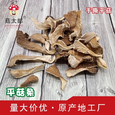 菇太郎平菇干货食用菌干蘑菇片剪根出口品质干凤尾菇菌散装白平菇
