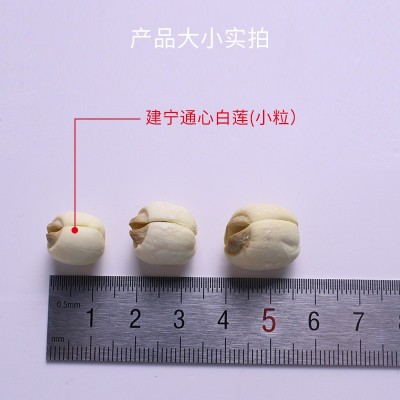 新货福建建莲建宁白莲子干货龙威建宁无芯去芯白蓮子散装小粒批发图1