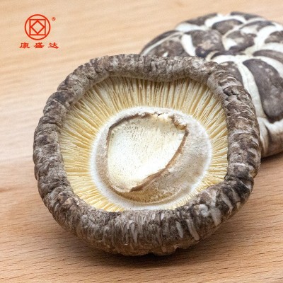 康旺 古田花菇椴木花菇香菇蘑菇干货500g源头厂家批发图3