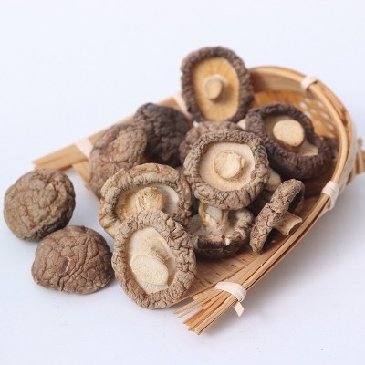 批发金钱菇干货200g 无根肉厚冬菇干珍珠菇小香菇干煲汤农家特产图5