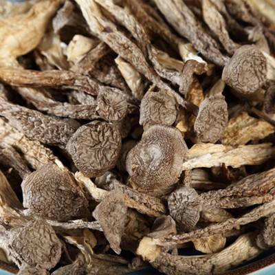 鹿茸菇干货 鹿茸菌脆脆菇干姑产煲汤250g 蘑菇食用菌干货厂家批发