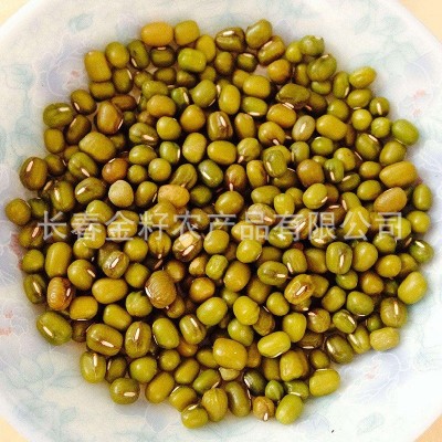 绿豆 芽豆 豆芽豆大量批发