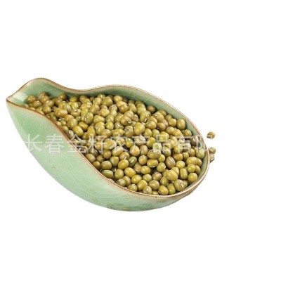 绿豆 芽豆 豆芽豆大量批发图5