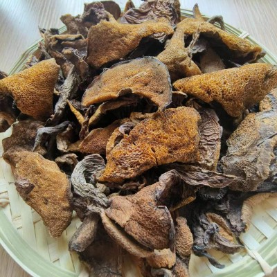 黄松蘑【鑫利昌黄松蘑烤干二级】今年新货产地直销每斤35元