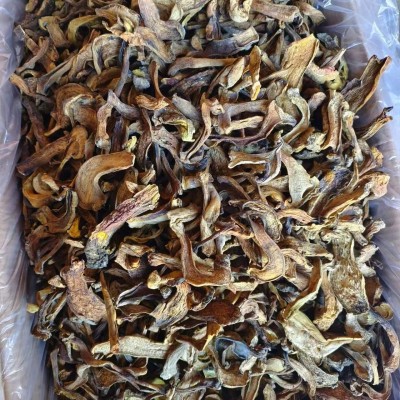 牛肝菌 鑫利昌【黄牛肝1级】森林采集菌菇源头产地图4