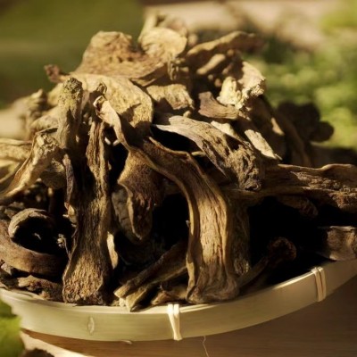 牛肝菌 鑫利昌【黄牛肝1级】森林采集菌菇源头产地图3