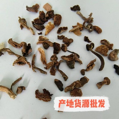 源头产地 榛蘑碎片1级 蘑菇碎片 多种食用菌碎片合集图1