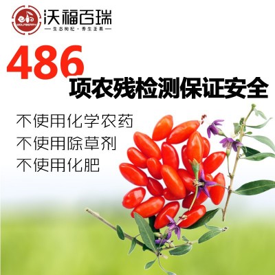 沃福百瑞宁夏中宁枸杞免洗干嚼罐装无农残苟杞子210g工厂直供货源图4