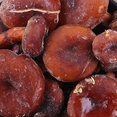 云南特产 本土山珍 冻品奶浆菌 美味奶浆菌 新鲜菌菇直销图4