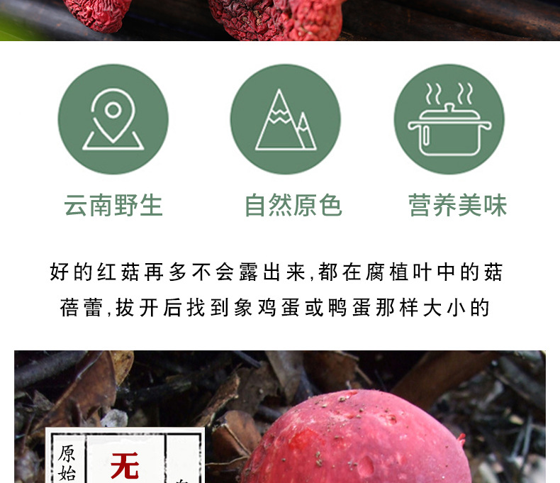 红菇详情页_05.jpg