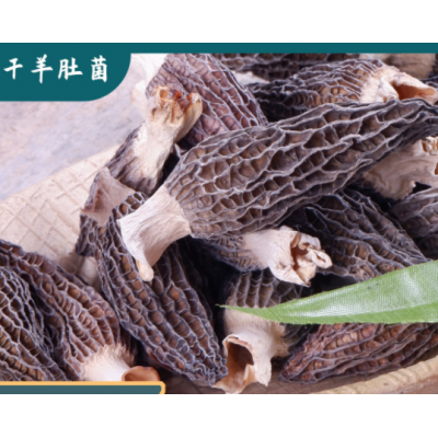 云南特产特级羊肚菌干货非鲜货1000g菌菇煲汤食材非野生