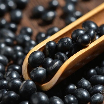 五谷杂粮 东北黑豆 油粮作物 东北豆青仁黑豆 绿心黑豆批发图4