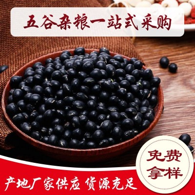 现货低温烘培熟五谷杂粮黑豆 豆浆原料五谷坊原料绿心黑豆