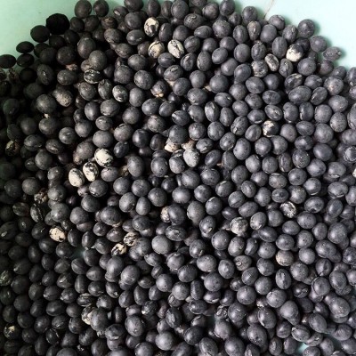 菏泽厂家供应 优良大黑豆 散装绿心黑豆农家青仁黑豆五谷杂粮黑图3